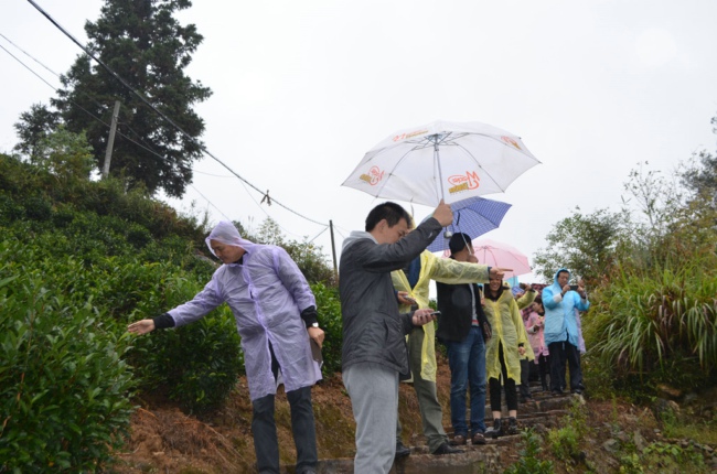  “认领一亩富硒茶山，喝上自家富硒好茶”(图10)