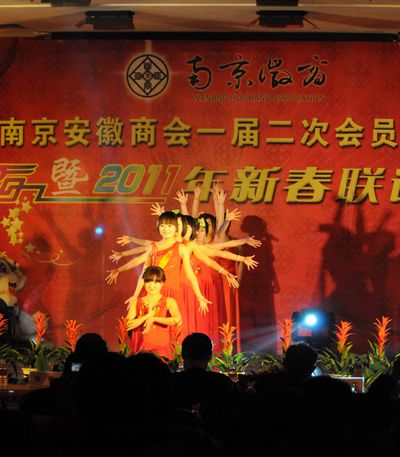 南京安徽商会召开一届二次会员大会暨新春联谊会(图3)